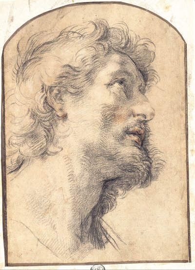 Study of the Head of Saint Crispin by Benedetto Luti
